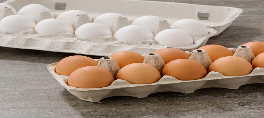 تخم مرغ های قهوه ای بهترند یا سفید؟
